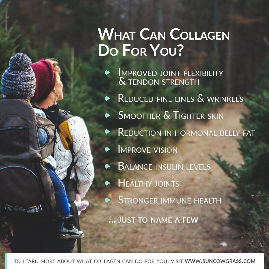 Chicken Bone Broth Collagen Powder - Pure Organic Protein - Free-Range