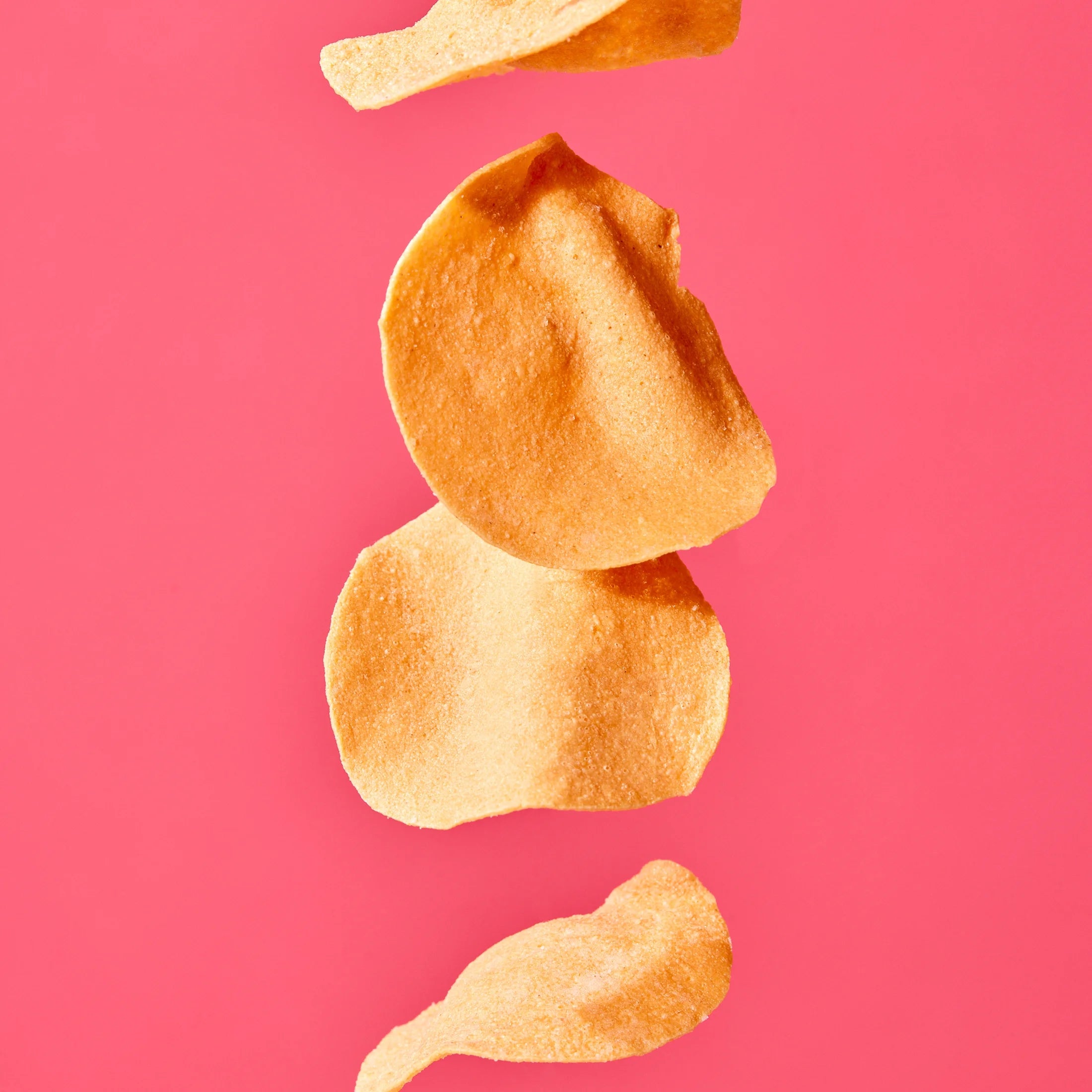 Protein Chips Himalayan Pink Salt, Thin Crispy High Protein, Keto Low Carb Snack, 4.0 Oz