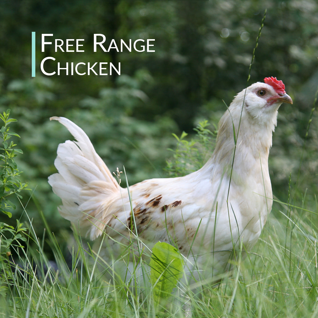 Chicken Bone Broth Collagen Powder - Pure Organic Protein - Free-Range